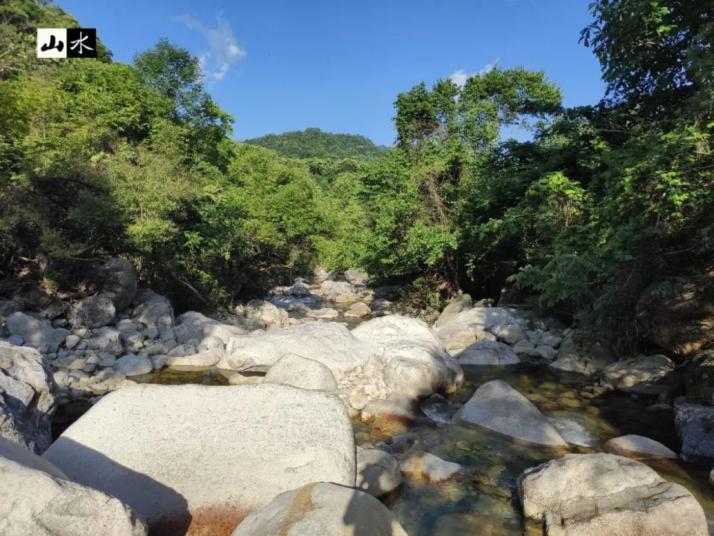 朝阳村蜂场远眺