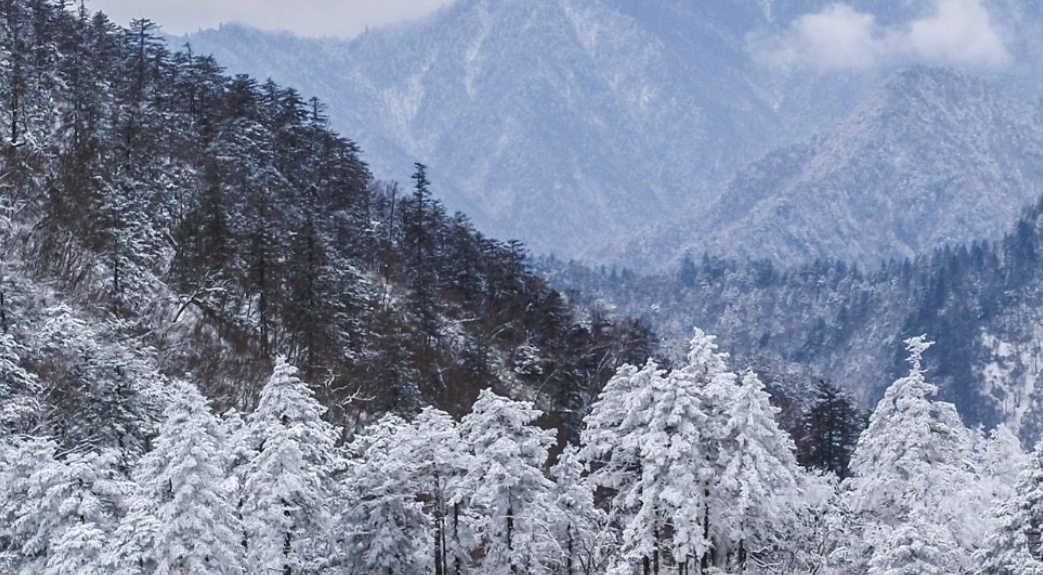 山水伙伴 · 保护地与自然